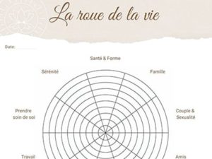 Exercice pratique : La Roue de la Vie