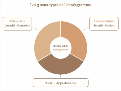 Schéma en camembert illustrant les trois sous-types de l'ennéagramme : conservation, social et tête-à-tête, dans les tons brun et doré